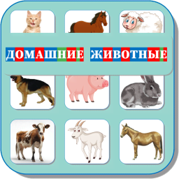 Карточки Логопеда Домашние животные 099