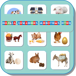 Карточки Логопеда домашние животные 101