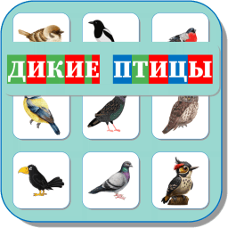 Карточки Логопеда Дикие птицы 111