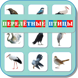 Карточки Логопеда Перелетные птицы 114