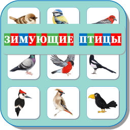 Карточки Логопеда Зимующие птицы 115