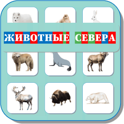 Карточки Логопеда Животные севера 118