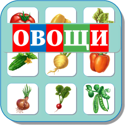 Карточки Логопеда Овощи 130