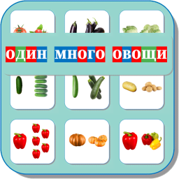 Карточки Логопеда Овощи 134