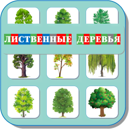 Карточки Логопеда Деревья 144