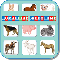 ДОМАШНИЕ ЖИВОТНЫЕ 452