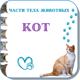 ЧАСТИ ТЕЛА ЖИВОТНЫХ 453