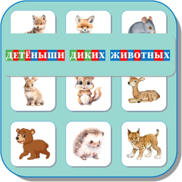 ДЕТЕНЫШИ ДИКИХ ЖИВОТНЫХ 457