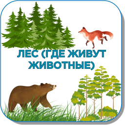 ЛЕС (ГДЕ ЖИВУТ ЖИВОТНЫЕ) 458