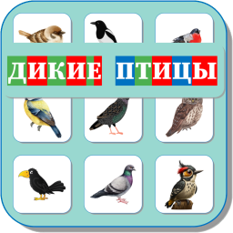 ДИКИЕ ПТИЦЫ 463