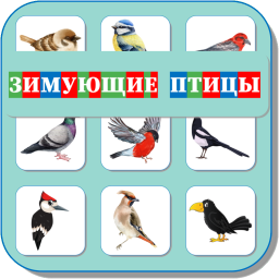 ЗИМУЮЩИЕ ПТИЦЫ 466