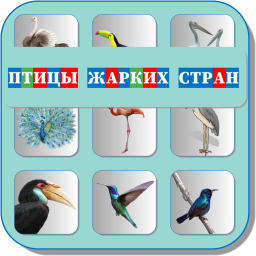 ПТИЦЫ ЖАРКИХ СТРАН 469