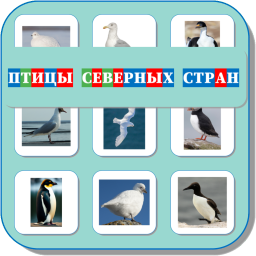 ПТИЦЫ СЕВЕРНЫХ СТРАН 470