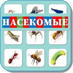 НАСЕКОМЫЕ 474