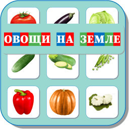 ОВОЩИ НА ЗЕМЛЕ 478