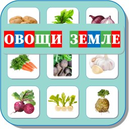 ОВОЩИ В ЗЕМЛЕ 479