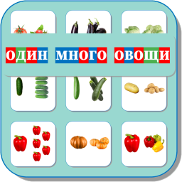 ОДИН-МНОГО (ОВОЩИ) 481