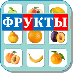 ФРУКТЫ 482
