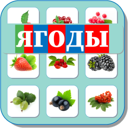 ЯГОДЫ 485