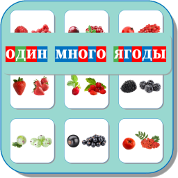 ОДИН-МНОГО (ЯГОДЫ) 487