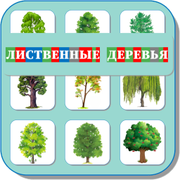 ЛИСТВЕННЫЕ ДЕРЕВЬЯ 489
