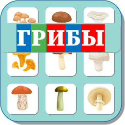 ГРИБЫ 496