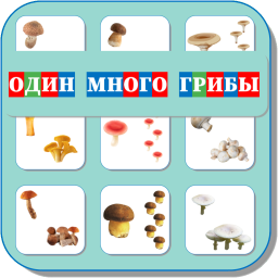 ОДИН-МНОГО (ГРИБЫ) 497